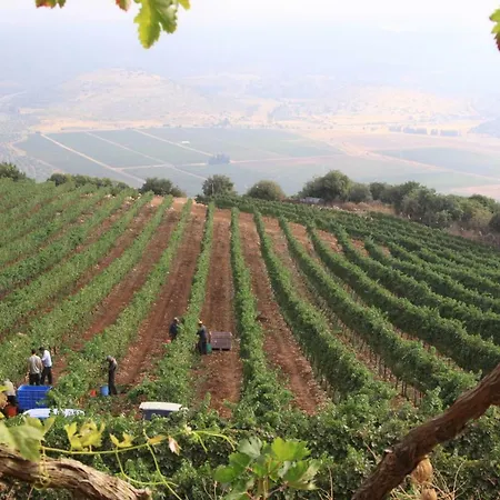 בית הכרם Hazon Exterior photo